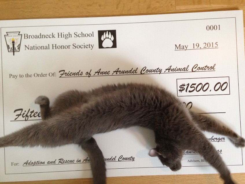 Cat with check